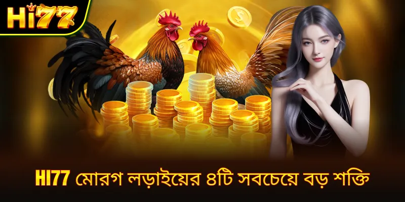 hi77 মোরগ লড়াইয়ের ৪টি সবচেয়ে বড় শক্তি