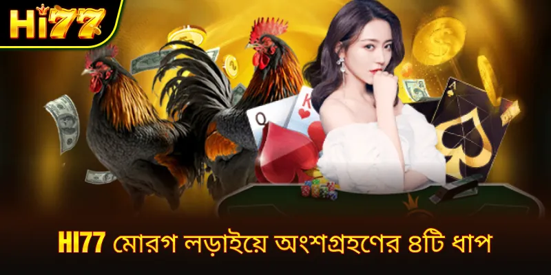hi77 মোরগ লড়াইয়ে অংশগ্রহণের ৪টি ধাপ